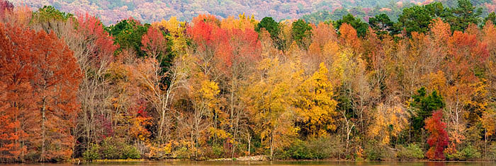arkansas, fall photo